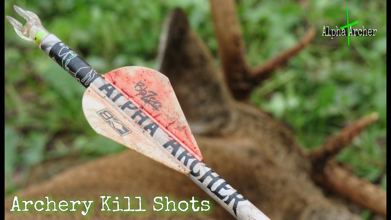 ARCHERY KILL SHOTS | Bowhunting Highlight - YouTube