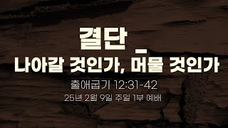 | 소망을노래하는교회 | 주일청년설교 | 나아갈 것인가, 머물 것인가