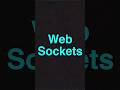 What is WebSocket? || WebSocket connection
