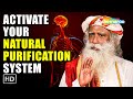 Activate The Body's Natural Purification System - Sadhguru