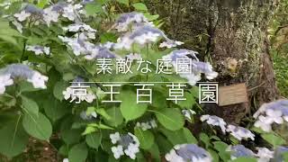 京王百草園