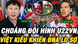 🔥Nhìn Đội Hình U22 Việt Nam Mà Rùng Mình: Dàn Sao Việt Kiều Khiến Đông Nam Á Khiếp Sợ