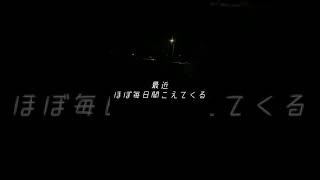 Vlog #43 夜中の悲鳴…