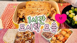 [ASMR]틀고 잠드는 1시간 도시락 모음 🥱😪