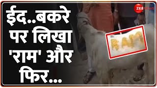 Ram Written on Sacrificial Goat: कुर्बानी के बकरे पर लिखा ‘राम', फिर जो हुआ | Controversy | Mumbai