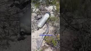 Did New Evidence Wash Ashore In The Area Lynette Hooker Went Missing?