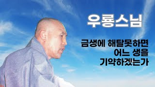 우룡스님 법문 - 금생에 해탈못하면 어느 생을 기약하겠는가