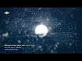 Mesut Kurtis feat. Maher Zain | Never Forget [Video lyric]