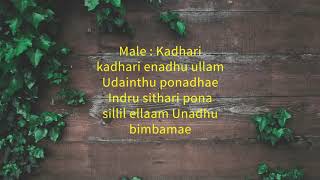 May Maadham   Minnale Nee karaoke with Lyrics