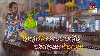 វិធីបង្កាត់កូនមាន់ពូជអោយមានទីផ្សារល្អ និងមានសុខភាពល្អ