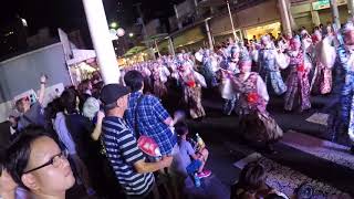 天空しなと屋しん高知よさこい祭り11日菜園場競演場