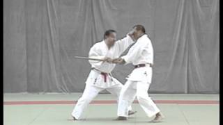 KDK Goshin Jutsu 2205;Furi Oroshi