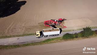 Rübenernte Niedersachsen(Hameln,Lehrte) Stellenanzeige in der Beschreibung! #landwirtschaft #farming