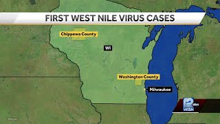 West Nile Virus detected in Wisconsin: What you need to know