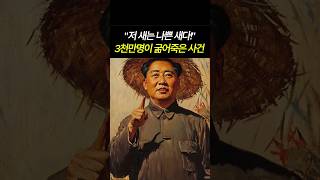 저 새는 나쁜 새다. 3천만명이 굶어죽은 사건  #마우쩌둥 #모택동 #대약진운동