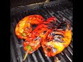 preserving series freezing fire roasted peppers or preserving in oil