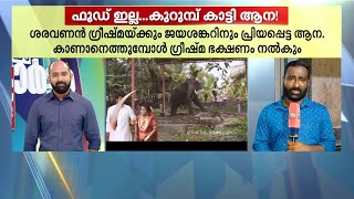 ജസ്റ്റ് മിസ്സ്! ; വധൂവരന്മാർക്ക് നേരെ ഓലമടലെറിഞ്ഞ് ആന | Elephant | Viral Video