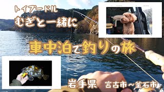 【岩手県 釣り】むぎと一緒に車中泊で釣りの旅