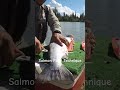 salmon fillet technique with fish em llc alaska fishing salmon