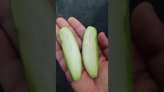 Potol Vaja | Pointed Gourd Recipe #shorts #youtubeshorts #vegan #food #foodie