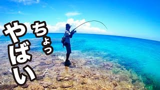 どん深リーフはパワフルな魚だらけ