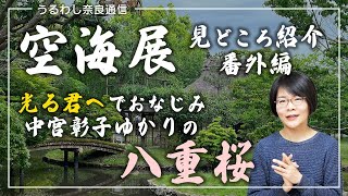 奈良博『空海展』見どころ紹介 番外編 ～ 光る君へ：中宮彰子ゆかりの八重桜【茶室 八窓庵・庭園】