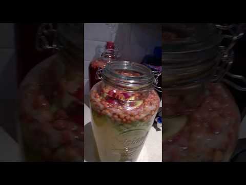 Kiwi & Strawberry Guava wine after 2 days Kiwi & Strawberry Guava wine after 2 days
