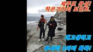 제주도 갯바위낚시, 문섬,작은가다리포인트,부시리 1마리 얻어먹기