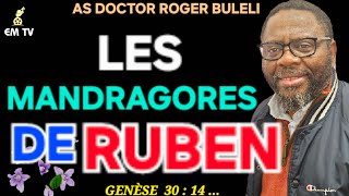 LES MANDRAGORES DE RUBEN ( Genèse 30 : 14 - 18 ) - Comme Docteur Roger Buleli