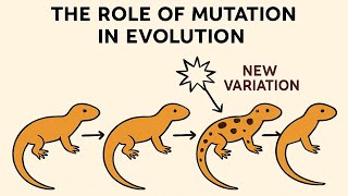 What Is the Role of Mutation in Evolution? The Engine of Change