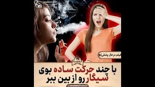 چند ترفند برای از بین بردن بوی سیگار ❌🚬 #ترفند #سیگار