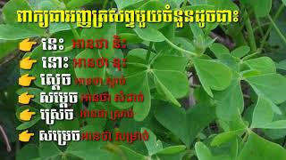 ពាក្យ អញ្ញត្រសព្ទ មួយចំនួន Study Khmer words | Sorn Sokhom Official