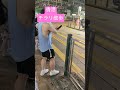 香港で信号待ちすると… shorts 香港 hong kong muscle