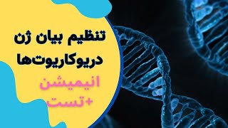 تنظیم بیان ژن در یوکاریوتهابه همراه انیمیشن و حل تست