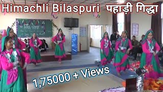 गर्ल स्कूल घुमारवीं |Himachli Bilaspuri | पहाड़ी गिद्धा