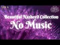 Beautiful Nasheed Collection No Music | Return to Allah After Lost Path | Ya Allah Touch Heart Now!!