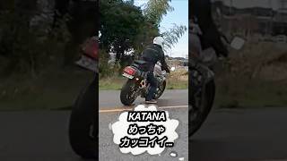 【KATANAとz900rs】ツーリングスタート！