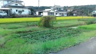 錦町一武地域の原田川地区～国道を人吉市方向～指杉地区永野地区～木揚地区～大正地区～井出の口地区まで