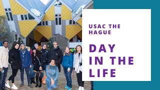 A Day in the Life Studying Abroad in The Hague, The Netherlands