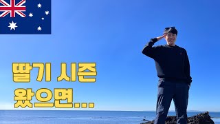 호주 워홀 농장 시즌 오는 날까지 버텨라 카불처 [브리즈번 EP.52]