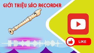 Giới Thiệu Sáo Recorder(Âm nhạc 4)