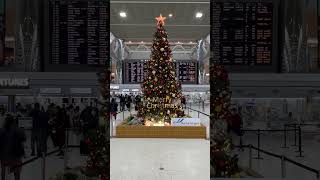 成田空港第2ターミナルのクリスマスツリー #クリスマスツリー