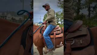4 steps to improving your rising trot