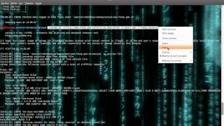 Exploiting SQL Injection Basic - SqlMap BackTrack 5r2