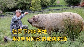 为了一条狗，她买下200亩荒地，用8年改造成桃花源，真实纪录片