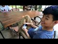 chomka thnong cambodia resort at 7ng ចំការធ្នង់