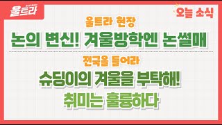 [울트라 Live] 2025년 01월 08일 (수) / 울트라현장 '논의 변신! 겨울방학엔 논썰매'