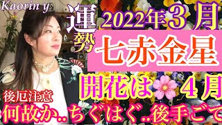 最高潮の波は４月から押し寄せる。今は地固め！七赤金星［2022年]3月の運勢を九星気学の奥義『同会法』深読み＆スピリチュアルで有料級講座形式ふうに解説＆アドバイス。