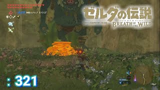 ゼルダの伝説 冒険記＃321 一緒に撮れるかなと思って【ゼルダの伝説 ブレスオブザワイルド】