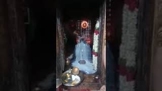 Viruthachalam Kolanjiappar temple pradosham | விருத்தாசலம் கொளஞ்சியப்பர் திருக்கோயில் பிரதோஷ வழிபாடு